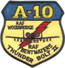 Wappen der 81.TFW A10 Thunderbolt II der Twin Bases